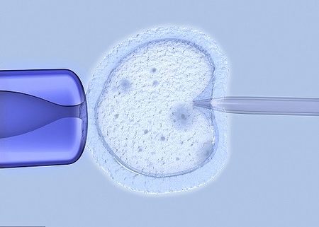 离婚单身的女性可以做试管吗？2024在国内没有结婚证真做不了