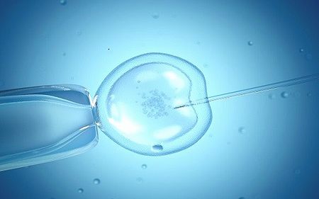 二代试管对精子有要求，活力、质量及形态标准各不同