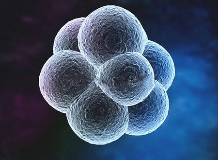 天津北辰医院试管婴儿费用公布，附2024价格明细表