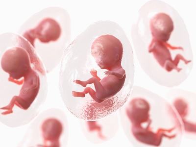 试管婴儿怀孕多久后可以同房？专家解读试管婴儿孕期能同房吗