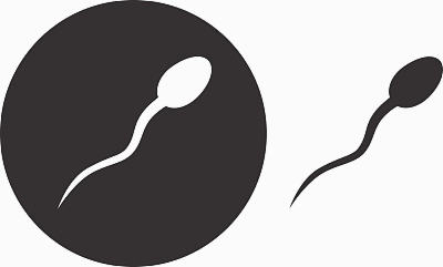 移植冻囊胚的第四天就测出来双杠是成功怀孕了吗？